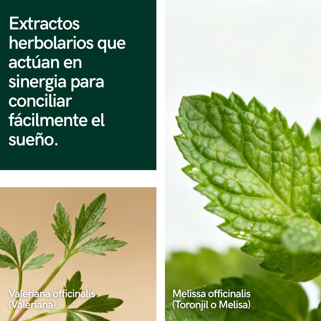 Calma tu mente y duerme mejor de forma natural